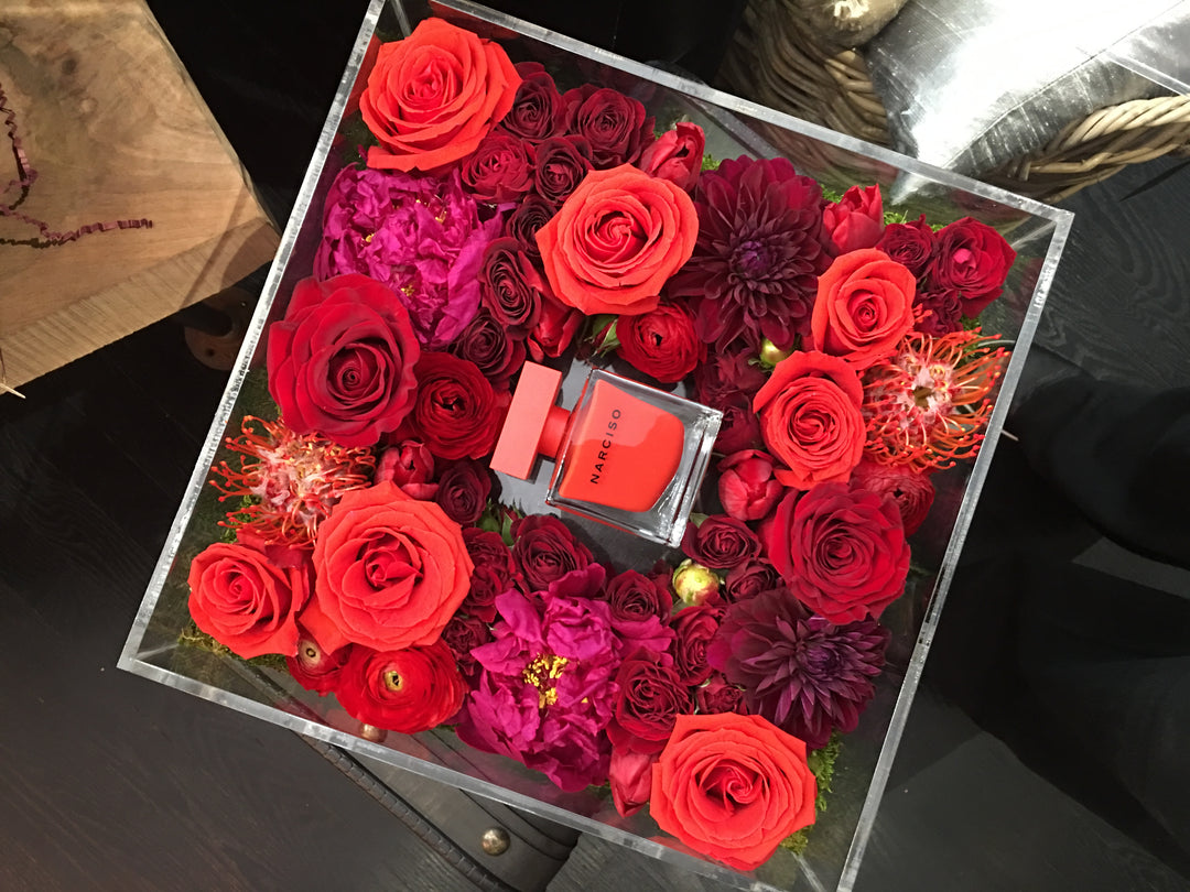 Pr Mailer Designs: Narciso Rouge