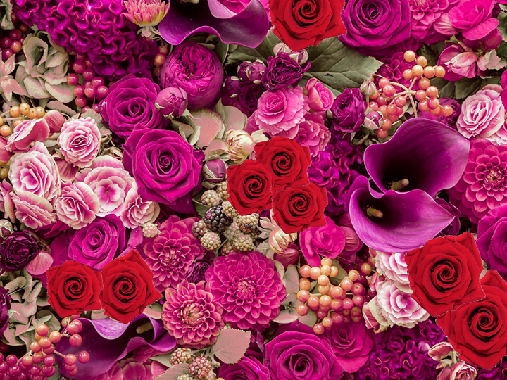 Jewel Toned Designer's Choice