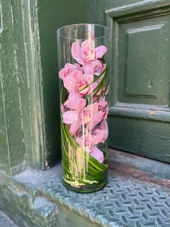Tall Cymbidium Orchid encased in a tall cylinder with dramatic and modern Lilly grass