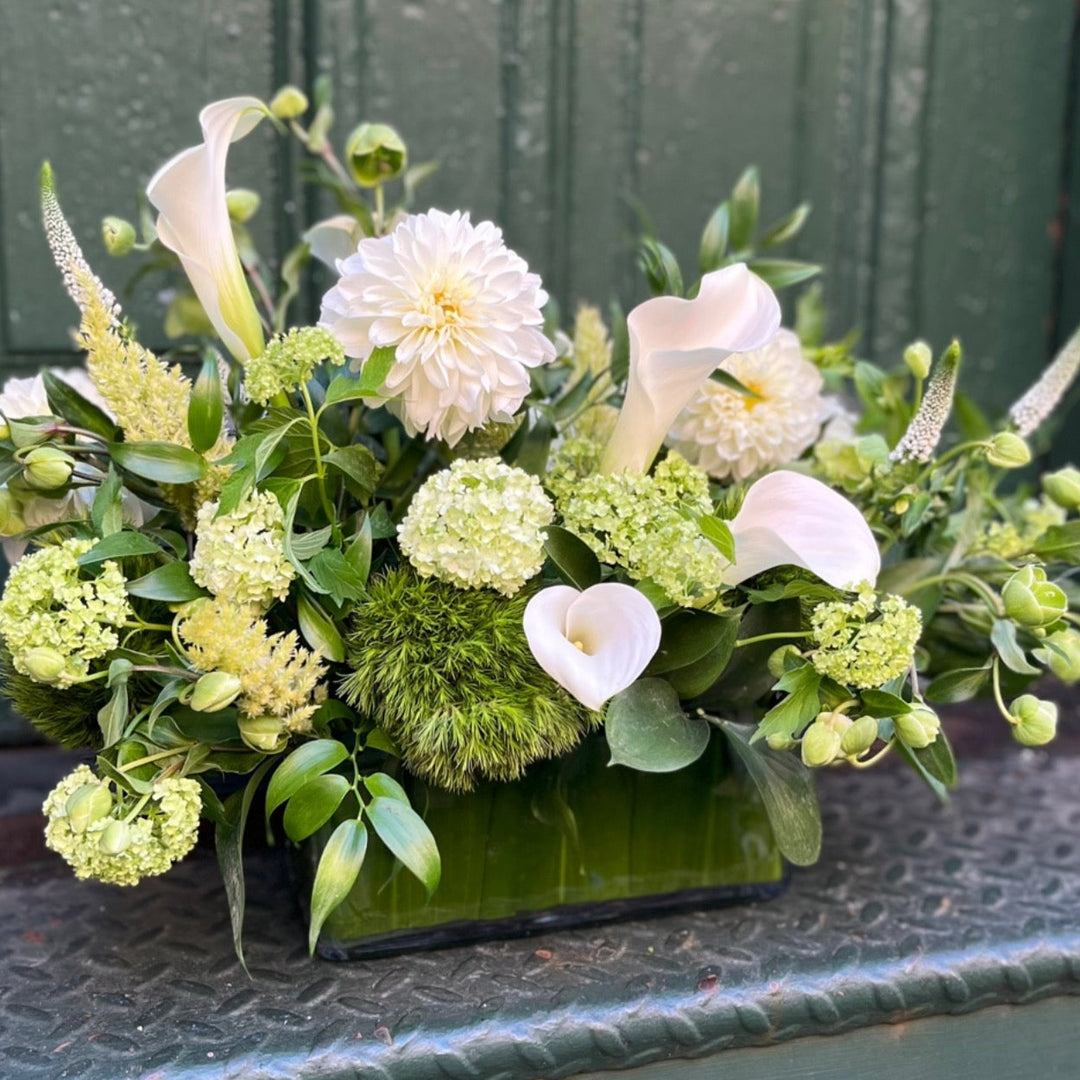 mix of white and green garden flower